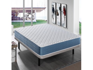 JUNIOR LUXOR ALTURA 22 CM 2