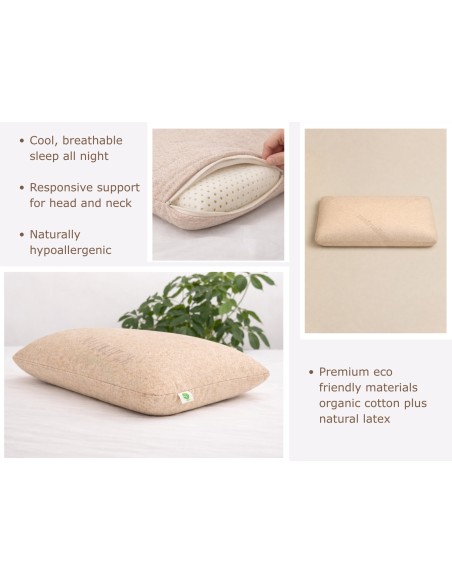 OREILLER EN LATEX BIOLOGIQUE - HAUTEUR 12 CM