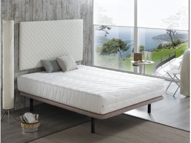 MONNET FOAM SOFT - ALTURA  22 CM 2